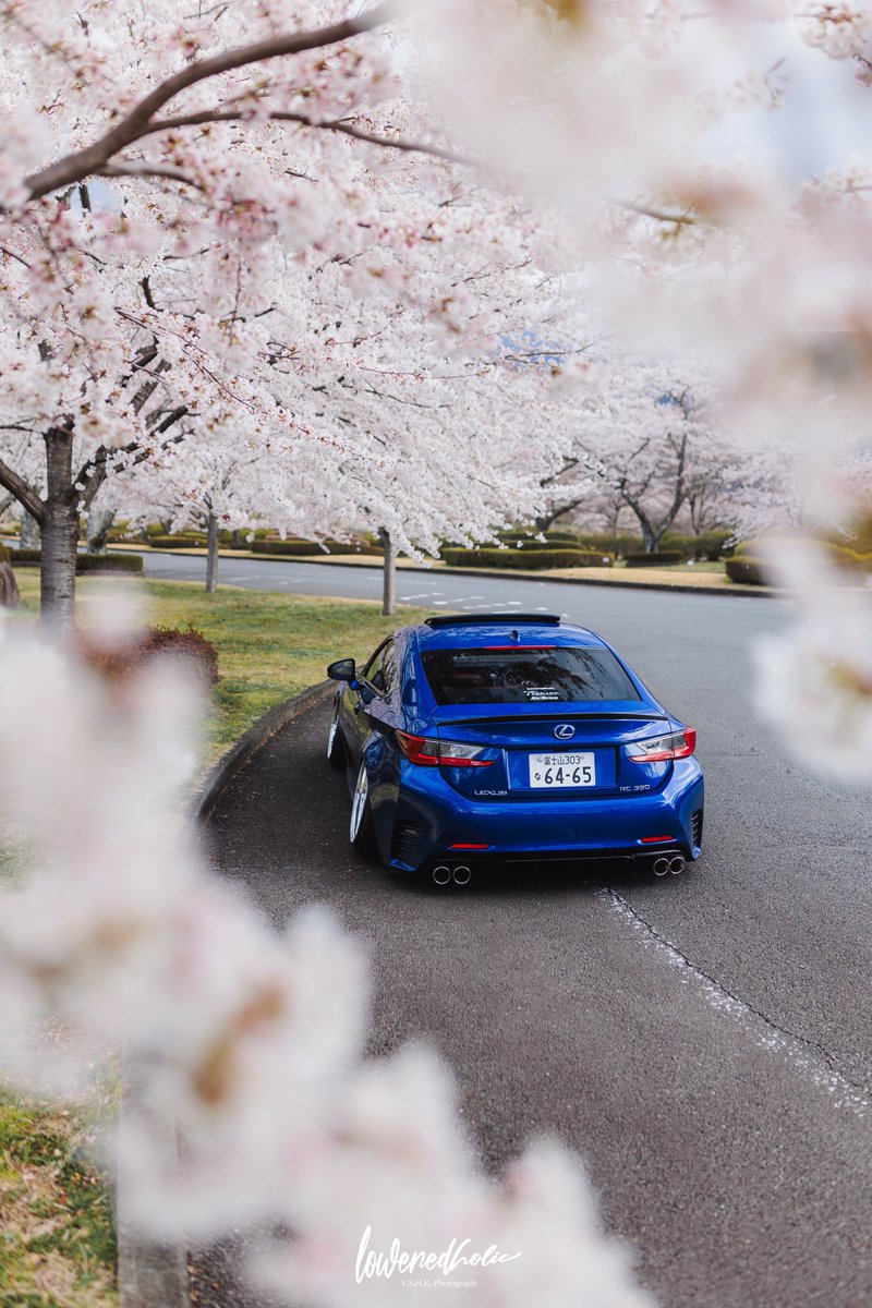 ccfam_RC350's tweet photo. 桜 ✖️ RC 🌸

縦写真なので画像タップして見てもらいたいです✨

#桜と愛車 https://t.co/FqSFpmI6EA