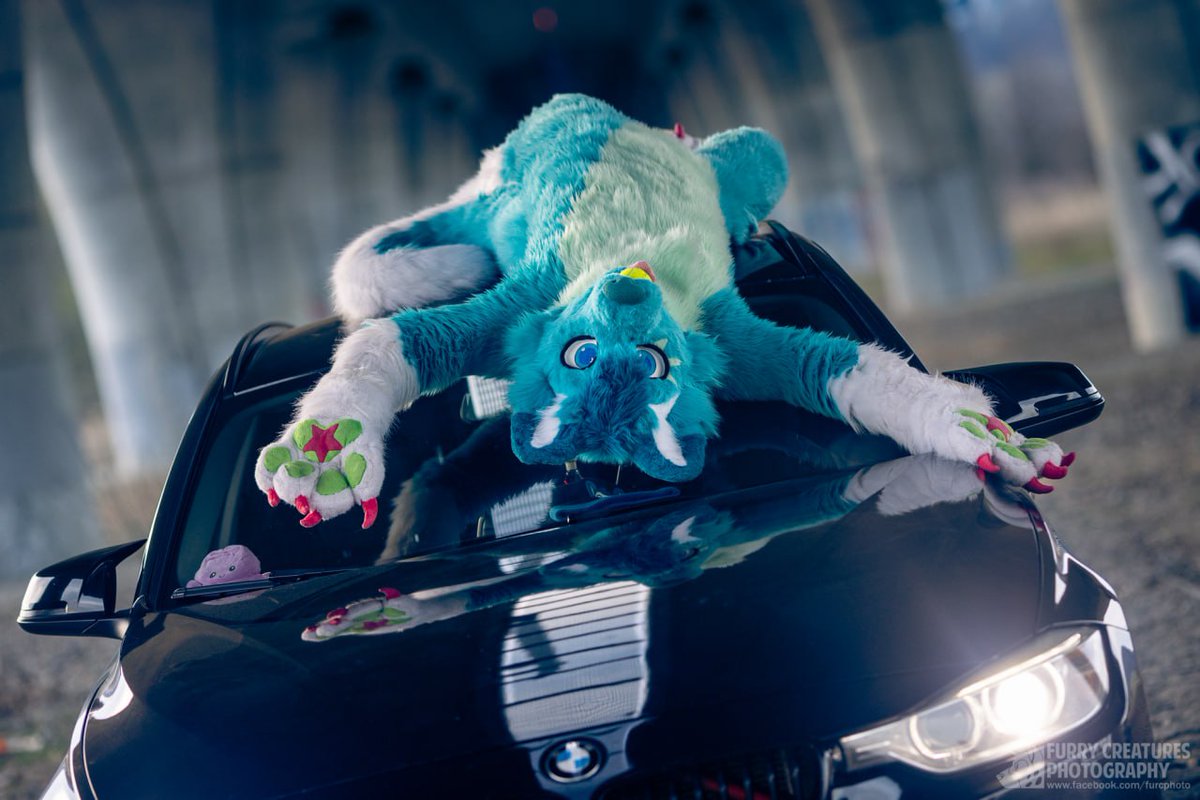 mato_husky (@mato_husky) on Twitter photo ๐๐ Even my own car can't beat me, you can stand up again and again ๐๐
Energetic huskyyyy ๐๐ถ wuf
๐ท <a href="/FurCPhoto/">Furry C. Photo</a> ๐ฅฐ
๐งต <a href="/Bambilijas/">Bambilijas</a> + <a href="/RokajTheHusky/">Rokaj</a> ๐ฅฐ
#happyfursuitfriday
#fursuitfriday
#furry #furrsuit #fursuiter #furryfandom #furries #furryhusky ๐๐ Even my own car can't beat me, you can stand up again and again ๐๐
Energetic huskyyyy ๐๐ถ wuf
๐ท <a href="/FurCPhoto/">Furry C. Photo</a> ๐ฅฐ
๐งต <a href="/Bambilijas/">Bambilijas</a> + <a href="/RokajTheHusky/">Rokaj</a> ๐ฅฐ
#happyfursuitfriday
#fursuitfriday
#furry #furrsuit #fursuiter #furryfandom #furries #furryhusky