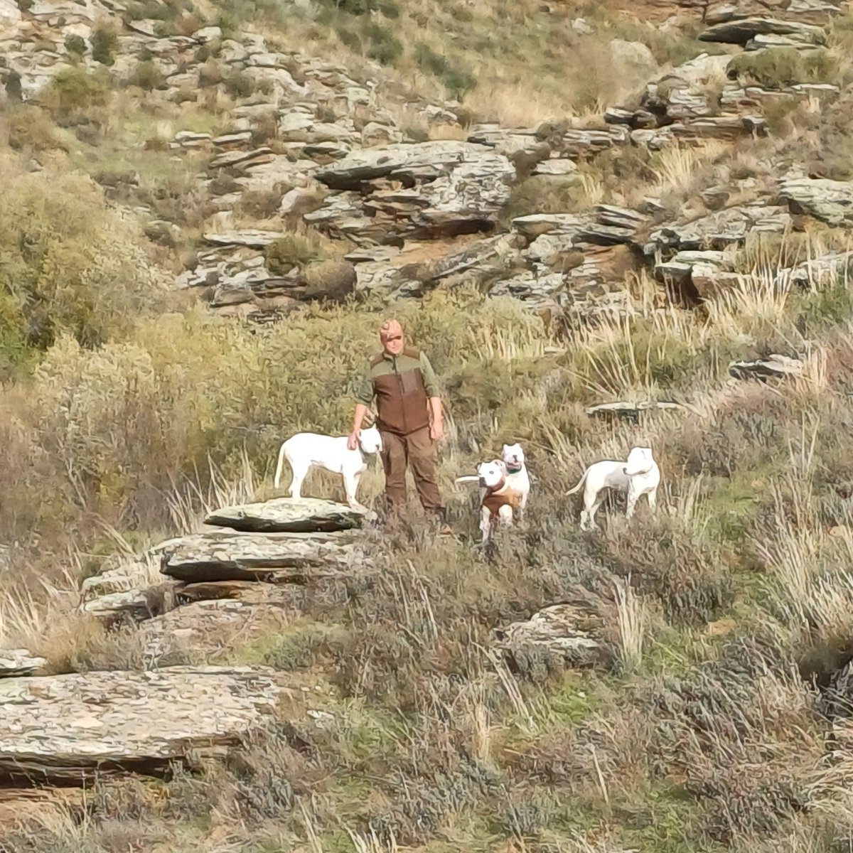 👧🏻🐾 A sus nueve años, Valeria no quiere perderse ni un día de caza con su familia.

Por eso en la Rehala Hermanos González Marcos dicen que tienen un buen futuro asegurado. ¡Cuánta razón!

#FamiliaArrecal #RelevoGeneracional #mujercazadora