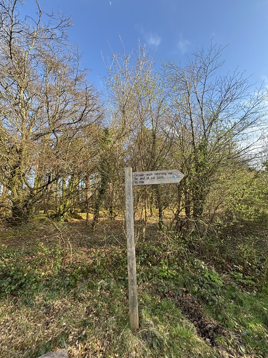 OurScapes's tweet photo. Have an awesome  #fingerpostfriday @FingerpostFri 
#fingerpostfri
#easthillstrip
#firebeaconhill
#devon https://t.co/3IsZKePFif