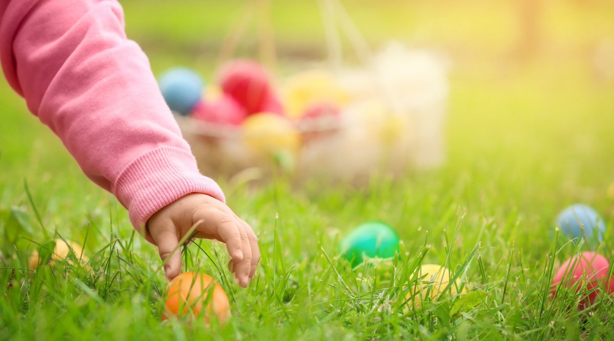 mairie6_8's tweet photo. #Borely | 🐣🎉Premiere chasse aux oeufs à l'hippodrome de Marseille-Borély (8e) le vendredi 18 avril !
🐰🎁Une chasse au trésor inédite pour petits et grands !
🎠 Baptême à poneys | 🍔 Foodtrucks | 🎨 Maquillage enfant
🔍 Chasse aux œufs à 13h
🎟️ 5€ pour les +16 ans.
📅 À partir de 11h15.
Venez en famille passer un moment inoubliable !