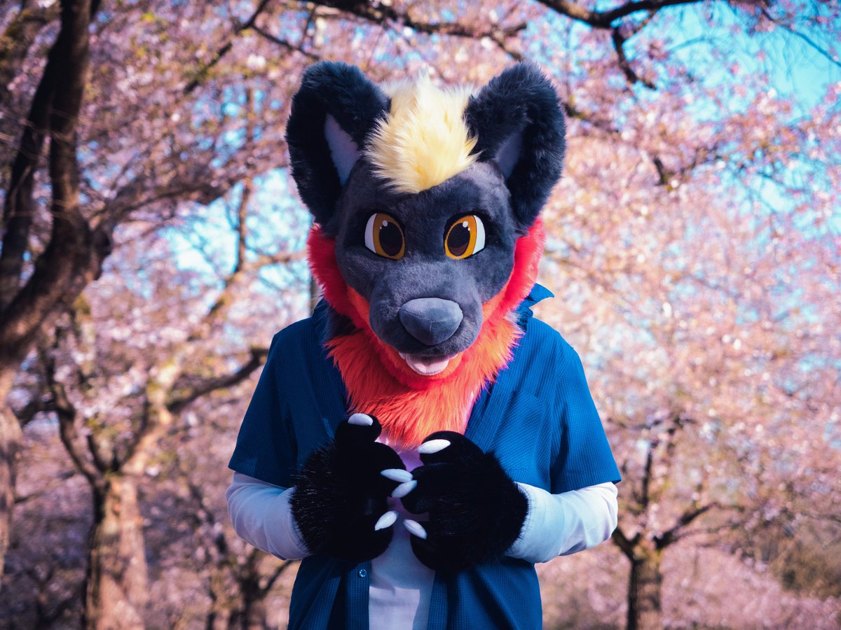 I dressed up especially for this wonderful #FursuitFriday :3

📸 <a href="/luckybluefox/">Lucky</a>
🖼️✏️ <a href="/darkDrakee/">Drakee</a>
🪡 <a href="/VarrosCreations/">Varro's Creations</a>