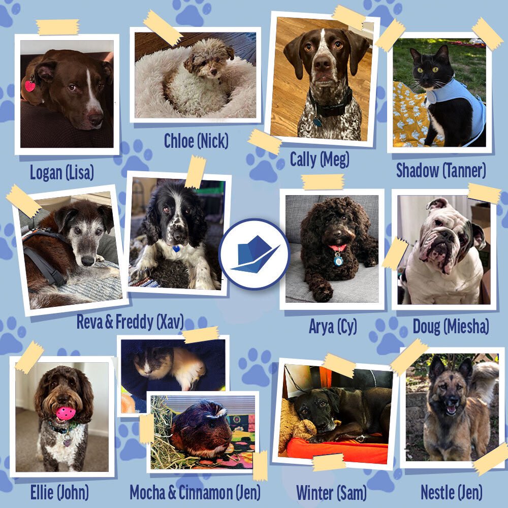SharpHat's tweet photo. Happy #NationalPetDay to all of our #SharpPets ๐ถ๐๐น๐พ https://t.co/cx9zhxpJts
