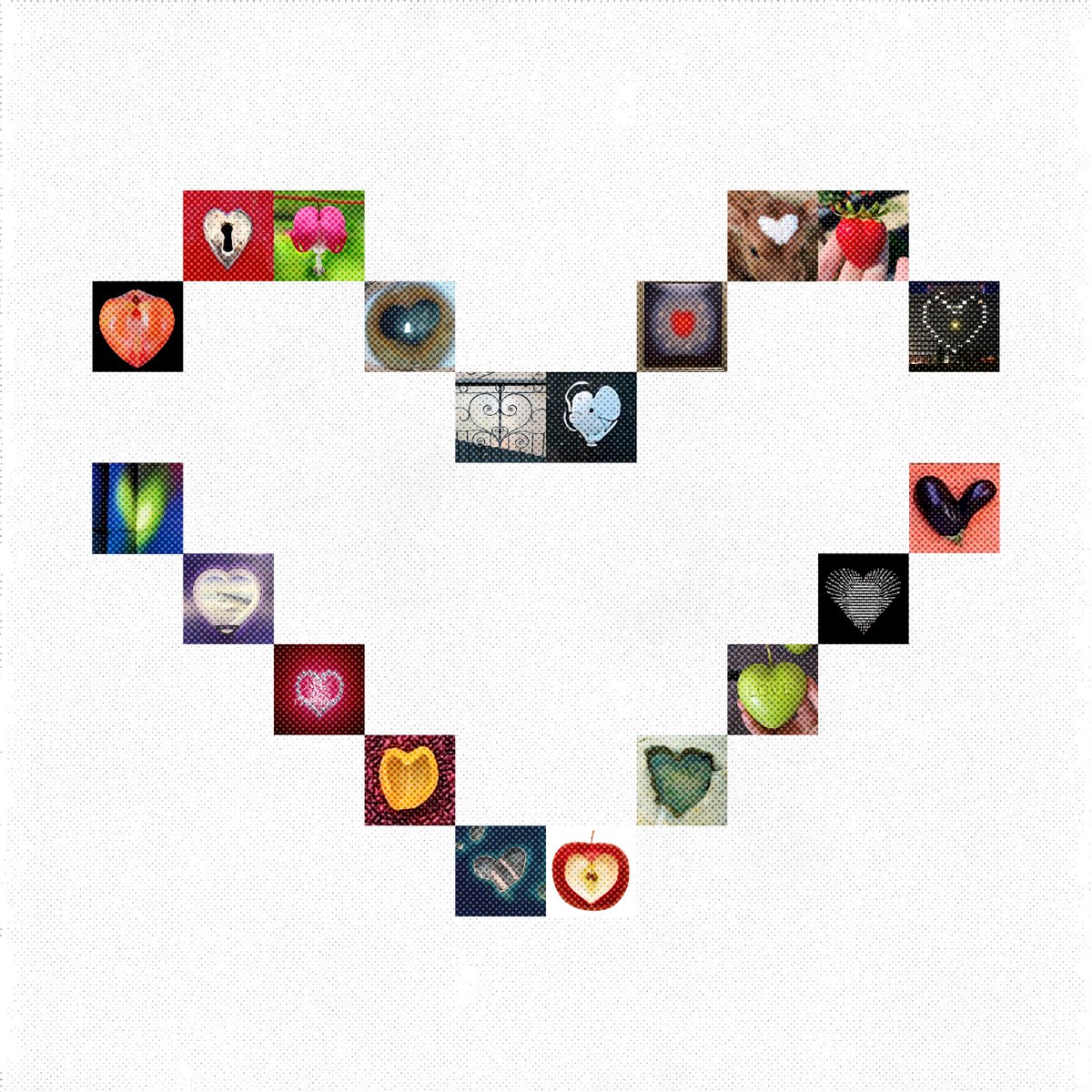 dycentra tweet media