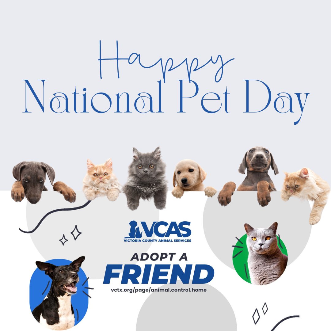VictoriaCounty's tweet photo. 🐾 #FindItFriday meets fur-tastic fun—because today is National Pet Day! 🎉
Looking for a furry friend who thinks every day with you is the best day ever? 🐶🐱
Visit Victoria County Animal Services and find your purr-fect match!
#NationalPetDay #AdoptDontShop https://t.co/PTdkO4Hf99