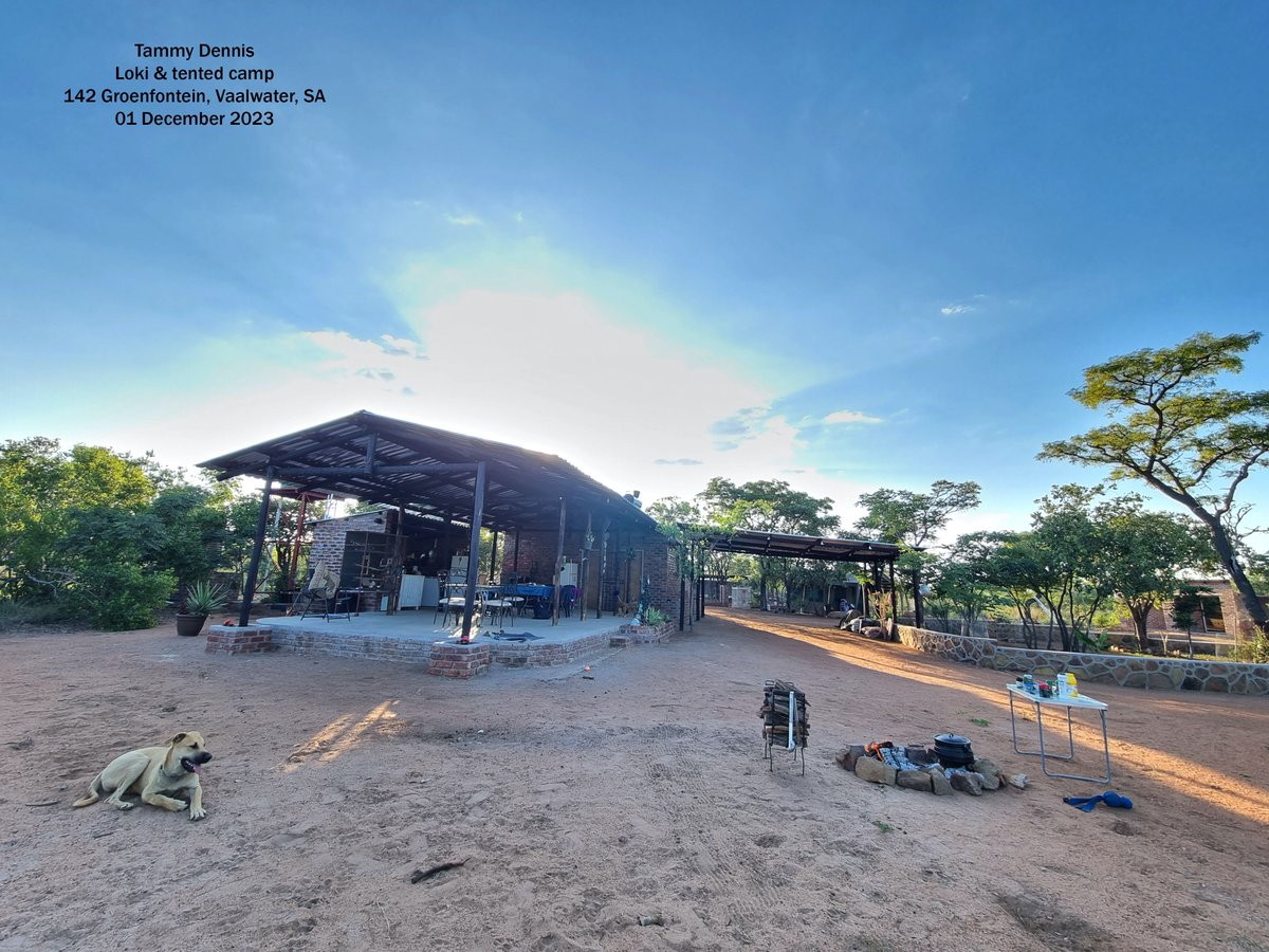 WaterbergDnD's tweet photo. Our venue feels like it’s nestled in the heart of adventure—perfect for epic tales and heroic moments. The farm’s full of animals, and for nature lovers, we offer guided walks through the veld to explore between sessions.

#DnDWeekend #DnDInNature #ExploreTheVeld #FarmEscape https://t.co/qwz2f56W7y