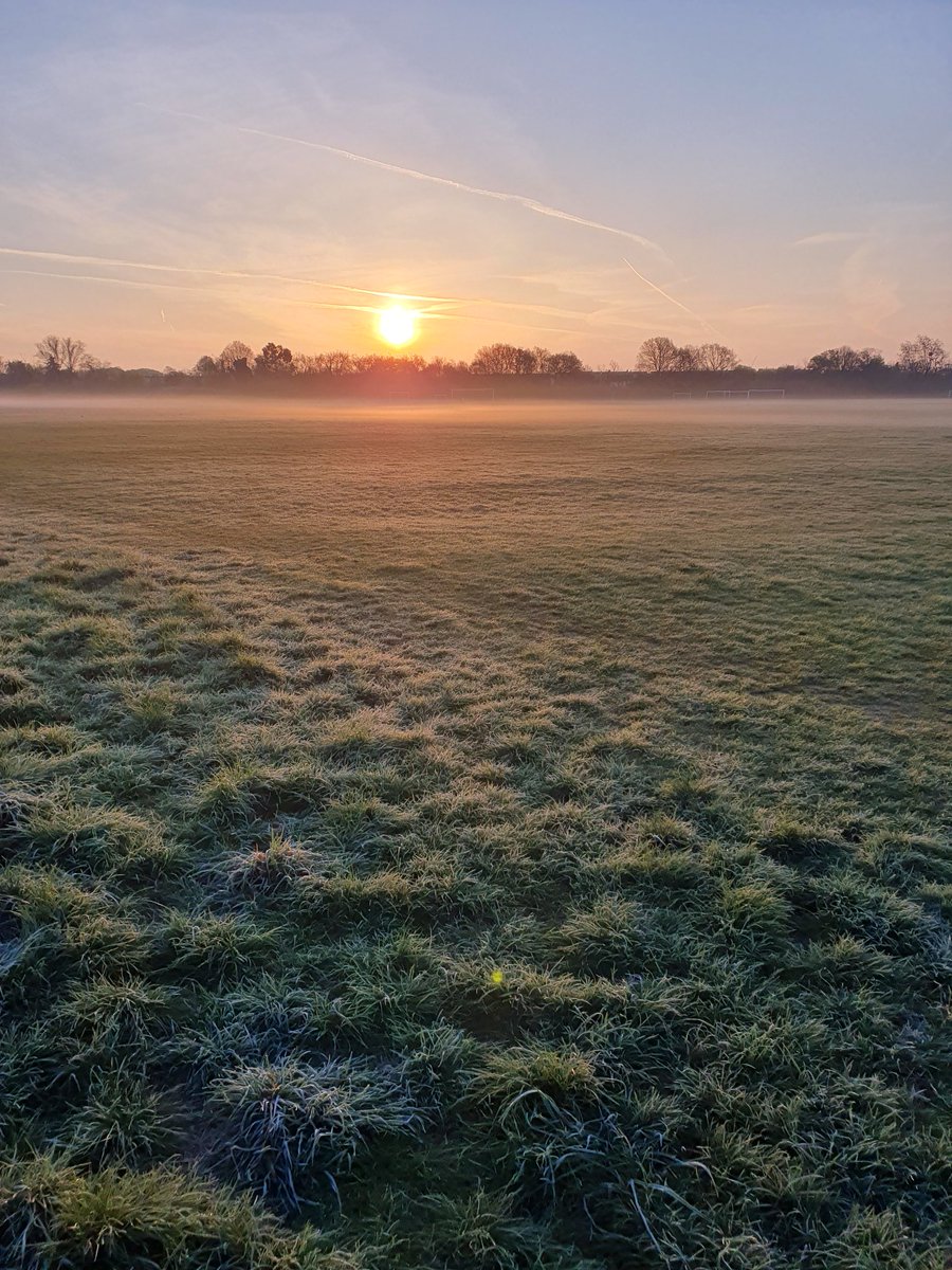 Numinousviews's tweet image. Morning sunshine