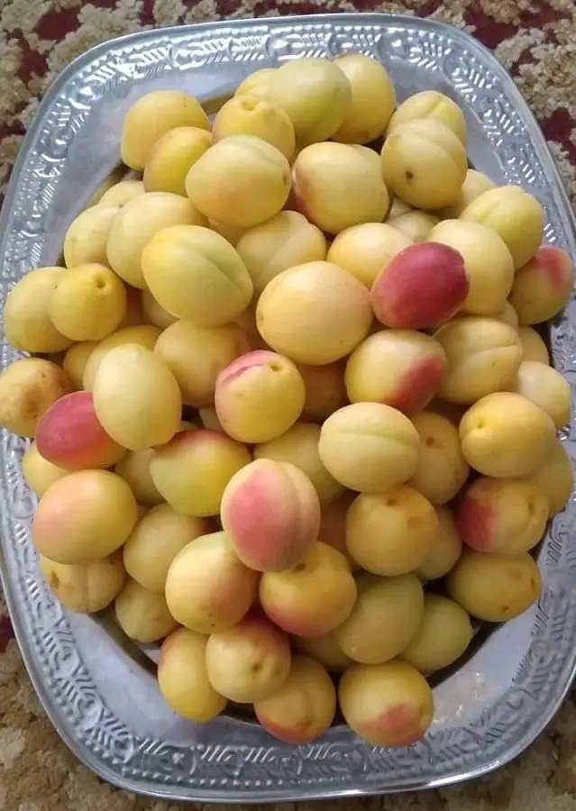 Bilal Bhai tweet media