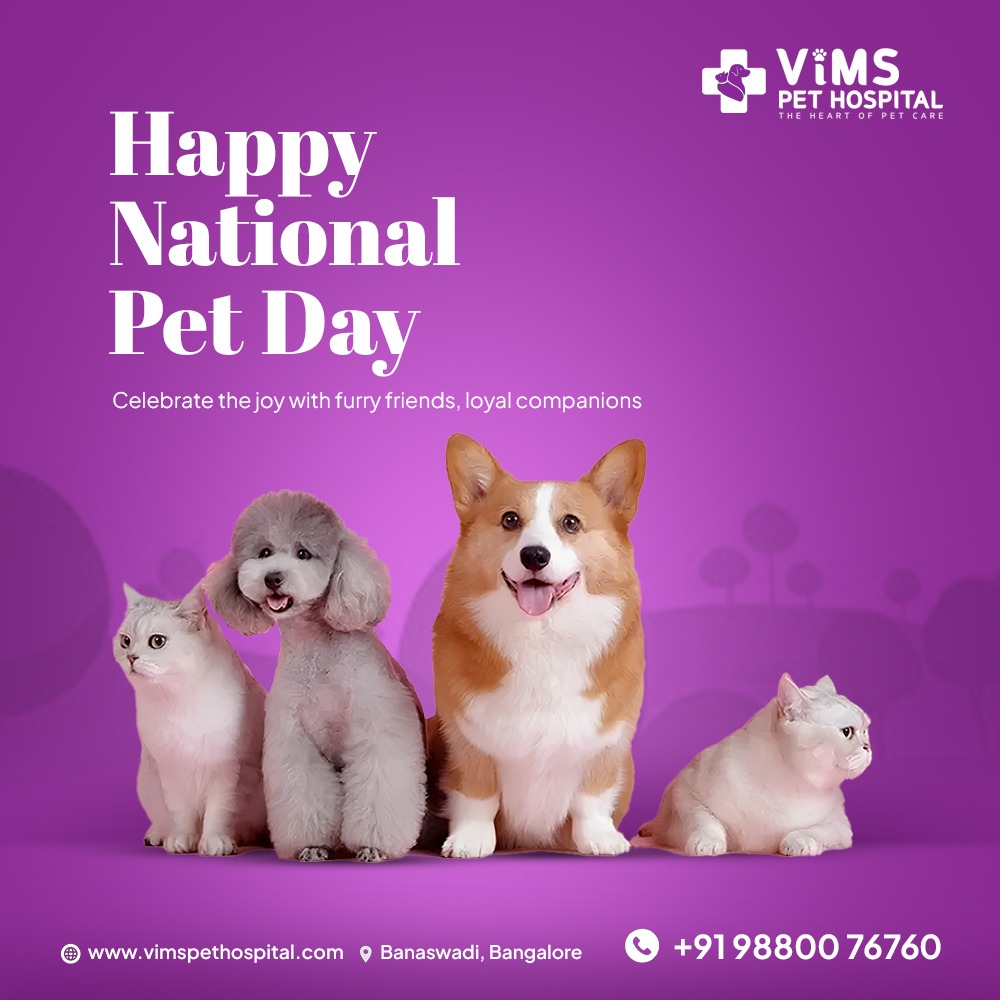 vimspethospital's tweet photo. Celebrating the ones who make every day brighter. Happy National Pet Day from VIMS Pet Hospital! https://t.co/10ZjAWc3Bv