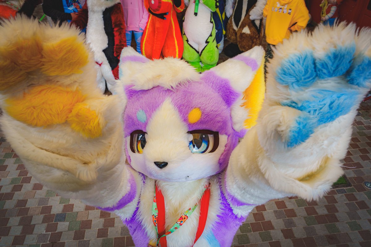 RmirCat's tweet photo. weee
A家台灣毛聚！好玩

#FursuitFriday 📷@ROOFnMILUO1011 https://t.co/YnSlEkXhX0