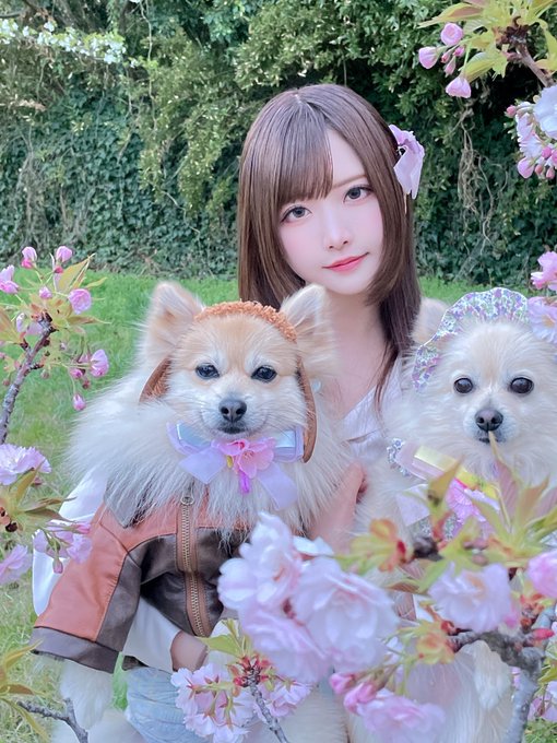 Twitterのコスプレ画像6