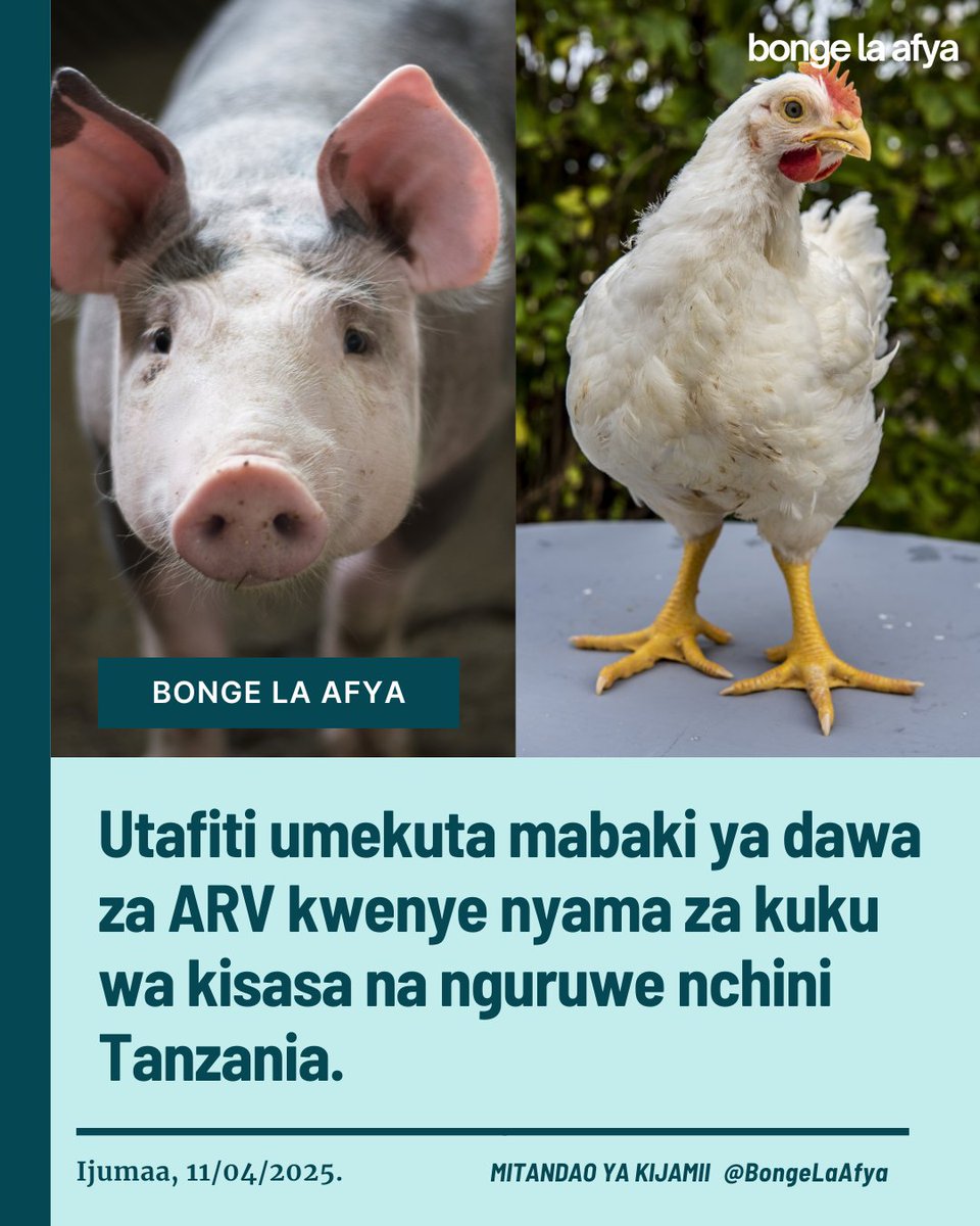 Utafiti uliofanywa na Chuo Kikuu cha Afya na Sayansi Shirikishi Muhimbili (MUHAS) umebaini matumizi yasiyo sahihi ya dawa za kufubaza makali ya Virusi vya Ukimwi (ARVs) katika ufugaji wa kuku na nguruwe nchini Tanzania. Matumizi haya yameibua wasiwasi mkubwa kuhusu usalama wa