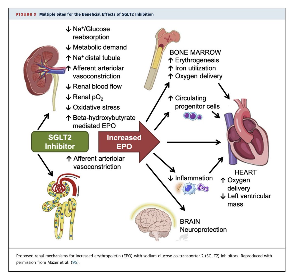 Dr. Hardik Patel 🩺💉 tweet media