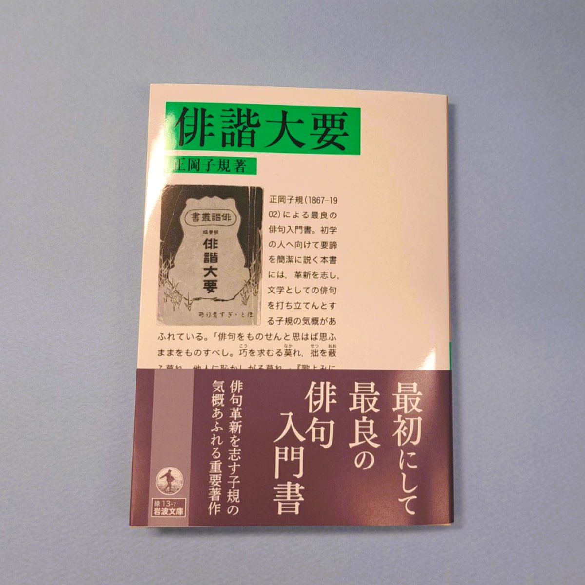 岩波書店刊　大正　本 【希少】【激レア】續芭蕉俳句研究