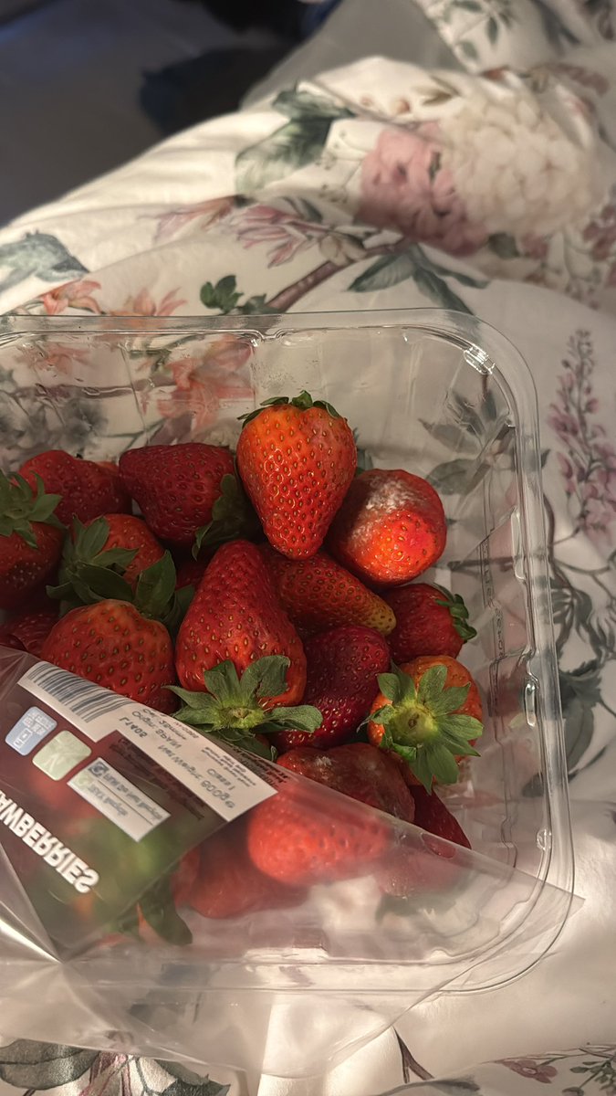 Scott Lane tweet media