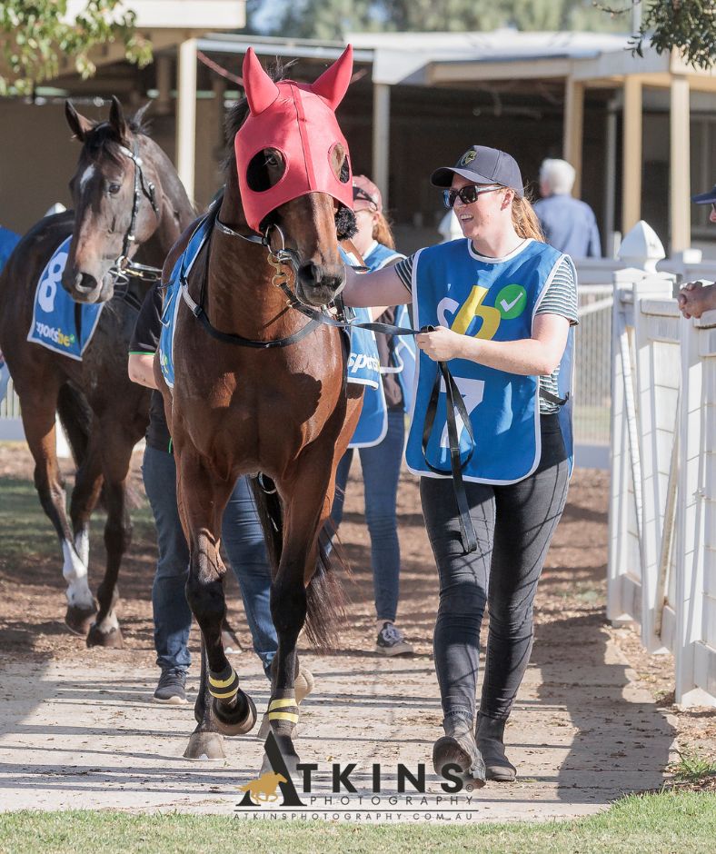 terry_hann's tweet photo. Opportune Chance, trained by Lewis &amp; Eliza Grantham, won the Glenrae Stud Class One Handicap at Strathalbyn, ridden by Andrew Stead.
Photos ~ https://t.co/oBBFiFiJ7U
@RacingSA @CountryRacingSA @StrathalbynClub @FarmSpringfield @LewisGrantham https://t.co/Yh0SNJl1om