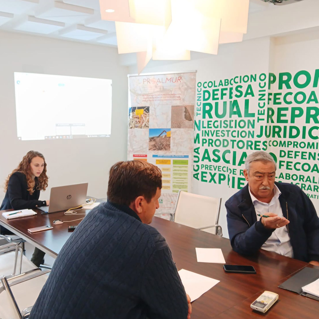 Nuevo encuentro de trabajo de los componentes del Grupo Operativo Proalmur II en la sede de <a href="/fecoam/">FECOAM Región de Murcia</a>  con las cooperativas participantes en la iniciativa y diferentes asociados de la federación, para exponer avances y análisis de resultados hasta la fecha ✅