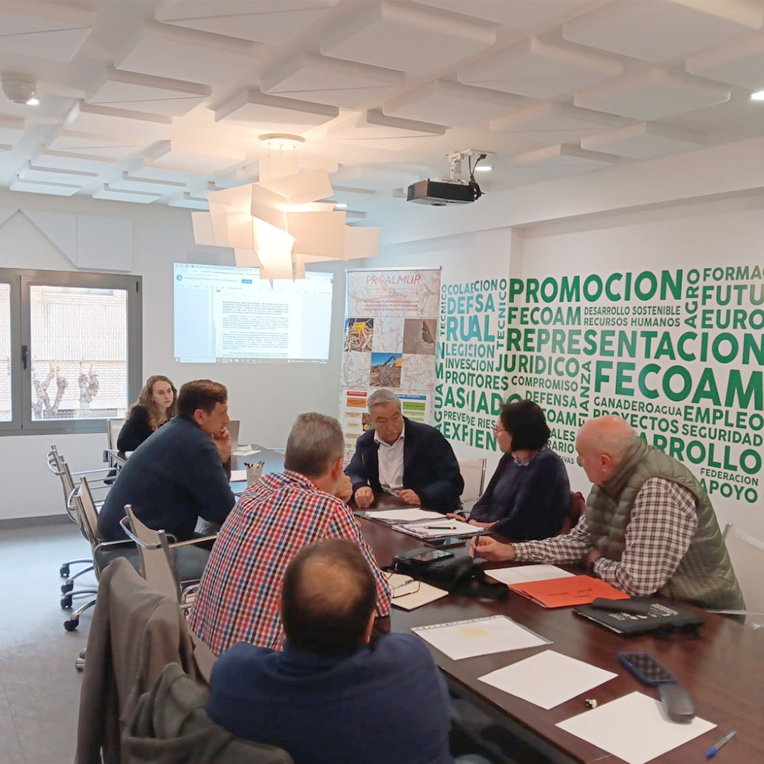 GOProalmur's tweet photo. Nuevo encuentro de trabajo de los componentes del Grupo Operativo Proalmur II en la sede de @fecoam  con las cooperativas participantes en la iniciativa y diferentes asociados de la federación, para exponer avances y análisis de resultados hasta la fecha ✅ https://t.co/4RdNX6DDBD