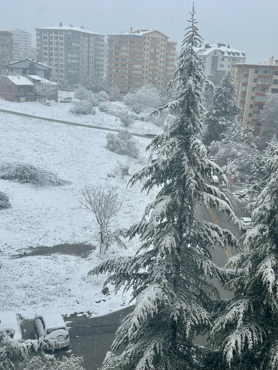 Allah belanızı versin şişman ve çirkin kadınlar  Ankara da hava ne böyle  #KaydaGeçsin bugün 11 Nisan  Hayırlı Cumalar
#Tatilsepetinde #karyağışı