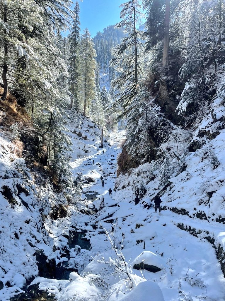 VJSWRITER's tweet image. 16 Corps statement: 1 terrorist down in joint ops with Police in Chhatru Kishtwar.