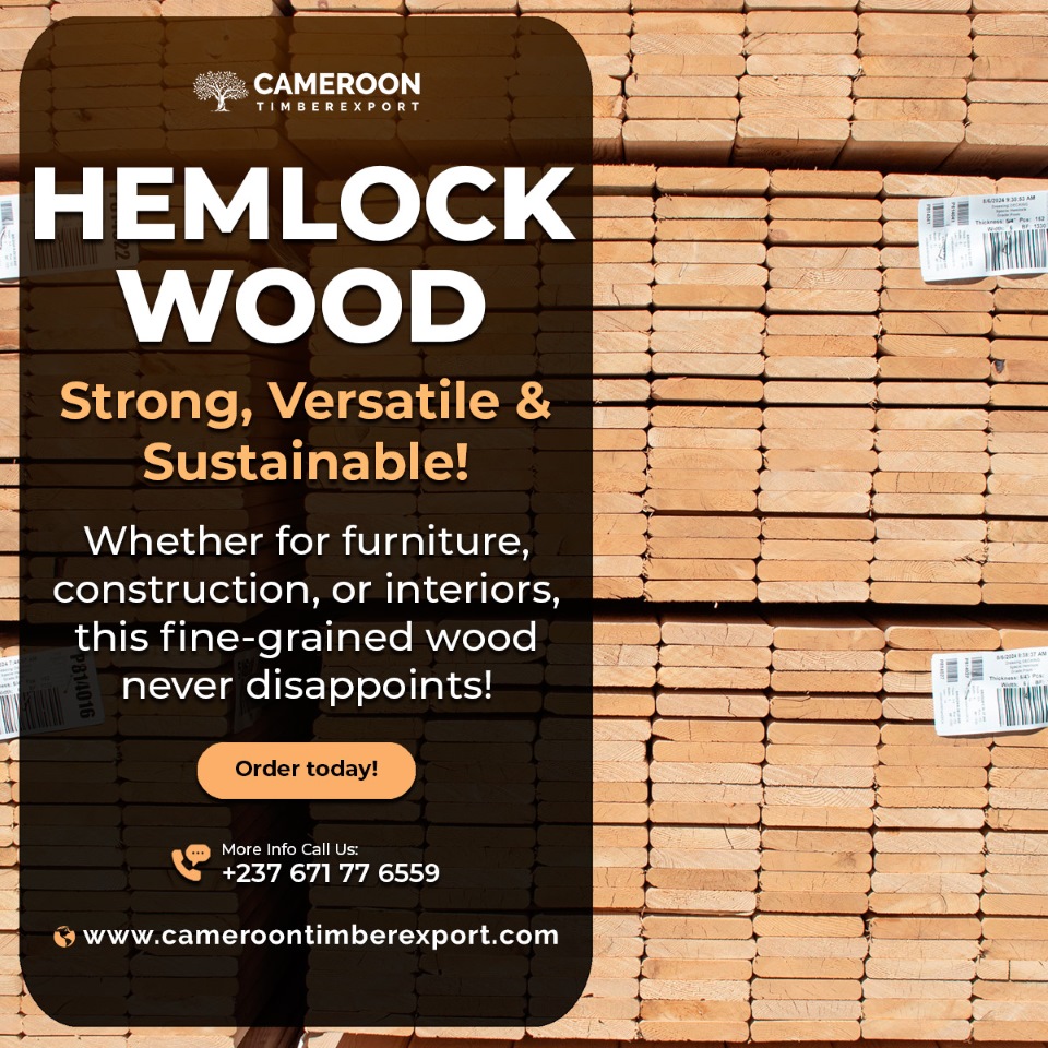 ExportTimber's tweet photo. Hemlock Wood – Strong, Versatile &amp; Sustainable! 🌍💪
Whether for furniture, construction, or interiors, this fine-grained wood never disappoints! 🚪🪵

Order today: https://t.co/xyzJA0VLNw

#wood #lumber #hemlock #woodlogs #timbersupplier #exporter #worldwide https://t.co/cgtwv13hok
