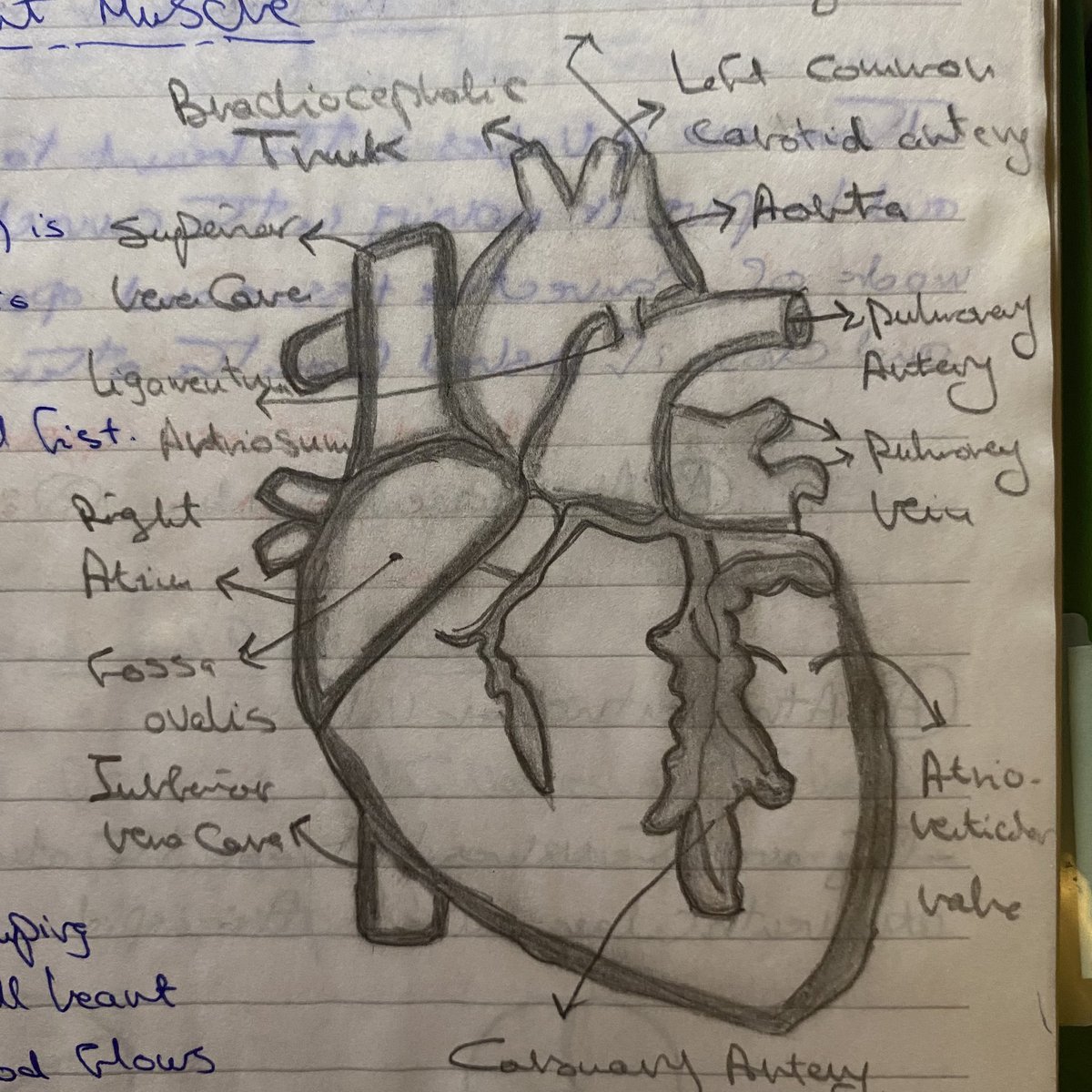 ايام مكان فيا شباب و برسم