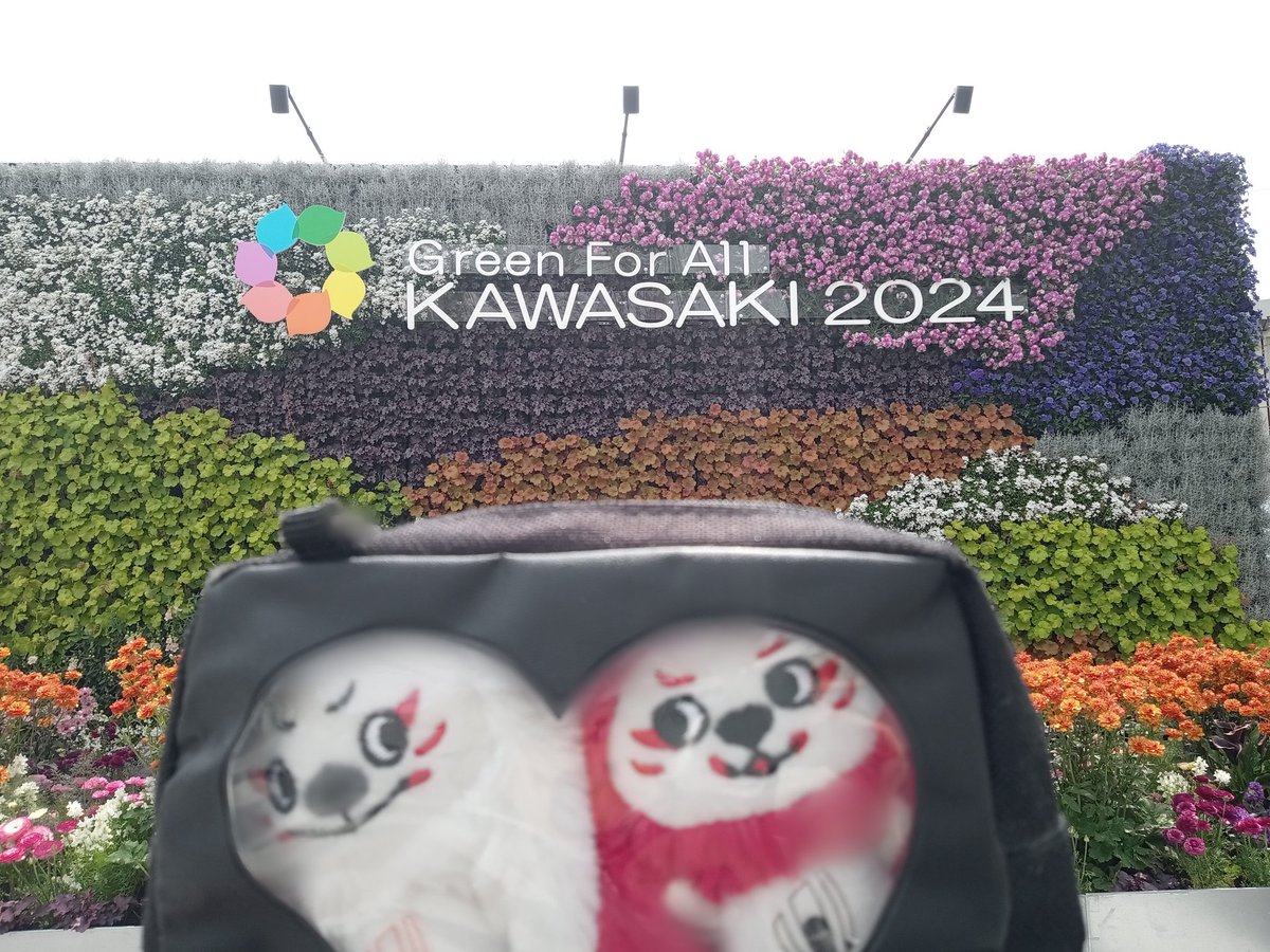 kazusea_25's tweet photo. またお花いっぱい見たよ⚪🔴
昨日は全国都市緑化かわさきフェアの富士見公園会場に行ってきた🌷🌹
富士見公園は初めてだった! #レンジー #うちのレンジー #RenーG #RenG #レンジーぬい撮り https://t.co/YvVUl9jWDp