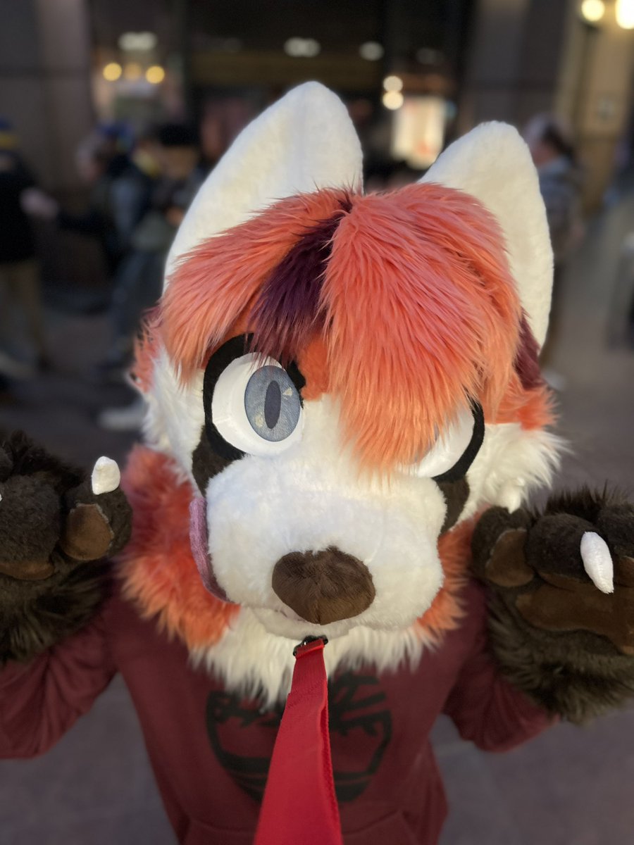 wwyd if you had me all leashed up for #FursuitFriday