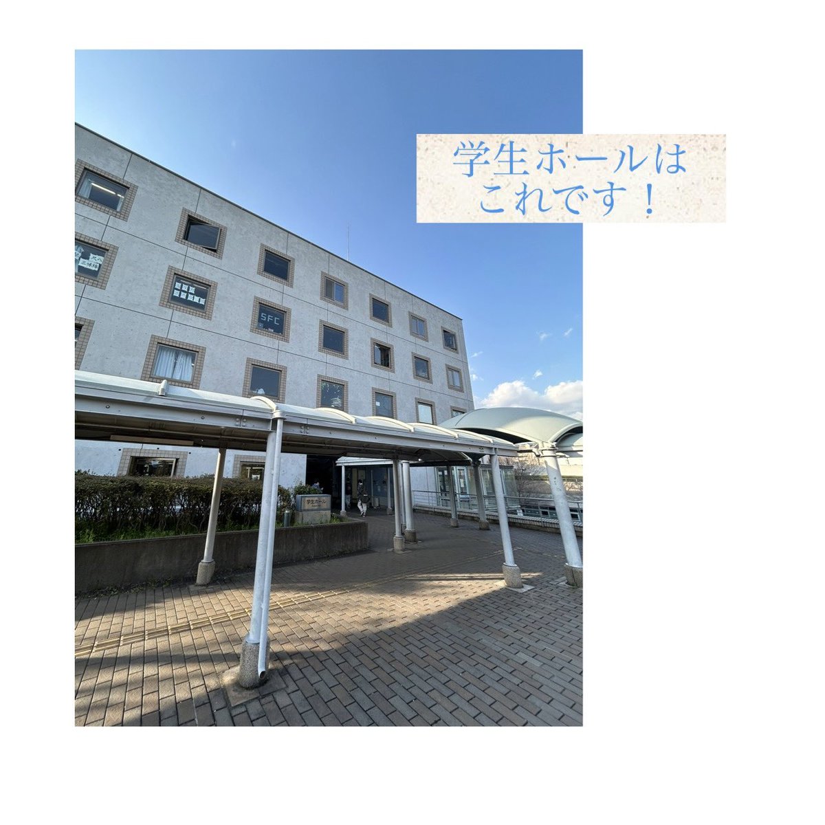 MaPPL2025's tweet photo. 本日は部室一斉開放です！
MaPPLの部室は学生ホール4階の402号室にあります！作業体験も実施します！是非お越しください！
#鳥人間コンテスト #春から都立大
 #鳥人間 #都立大 https://t.co/aTJbTvDAK7