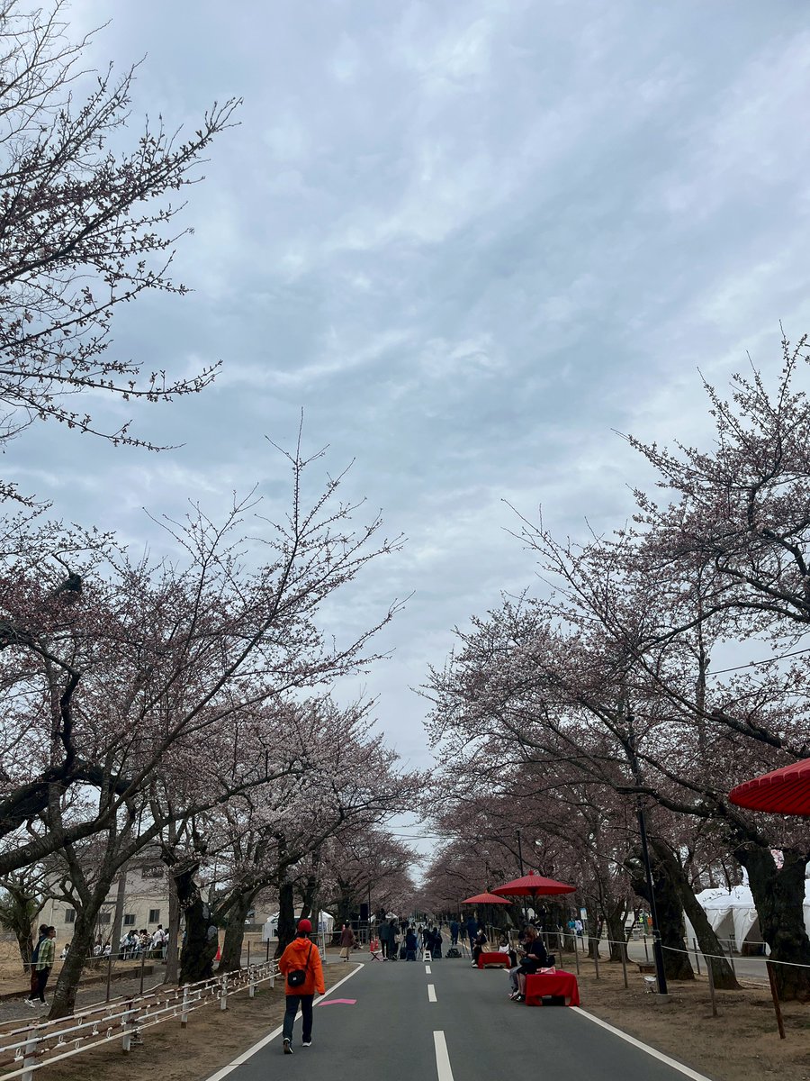 ZeekstarCheer's tweet photo. リーダーのANJUです👼🏻

新学期や新生活を迎えるみなさん、おめでとうございます✨
新たな門出を応援しています📣

先日、お花見をしました🌸
春になるとお花の写真をたくさん撮ってしまいます🥰

Next Home Game→4/19！
今季、ひがしんアリーナ ラストです✨

#ジークスター東京 
#チア
#ハンドボール https://t.co/KMHOqKyKrJ