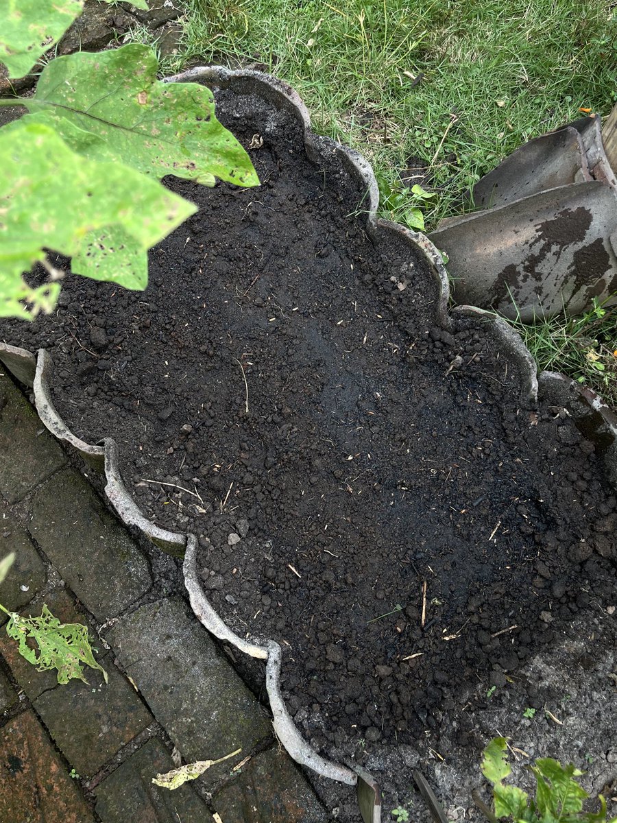 merekamcahaya's tweet image. Hari ini menyiapkan media tanam buat semaian pakcoy 🥬

Mau sharing sedikit tips basic berkebun agar hasil panennya bagus, tips ini hanya berlaku untuk metode tanam di lahan/tanah, juga sekaligus ajakan untuk #ayoberkebundirumah 🫶🏻