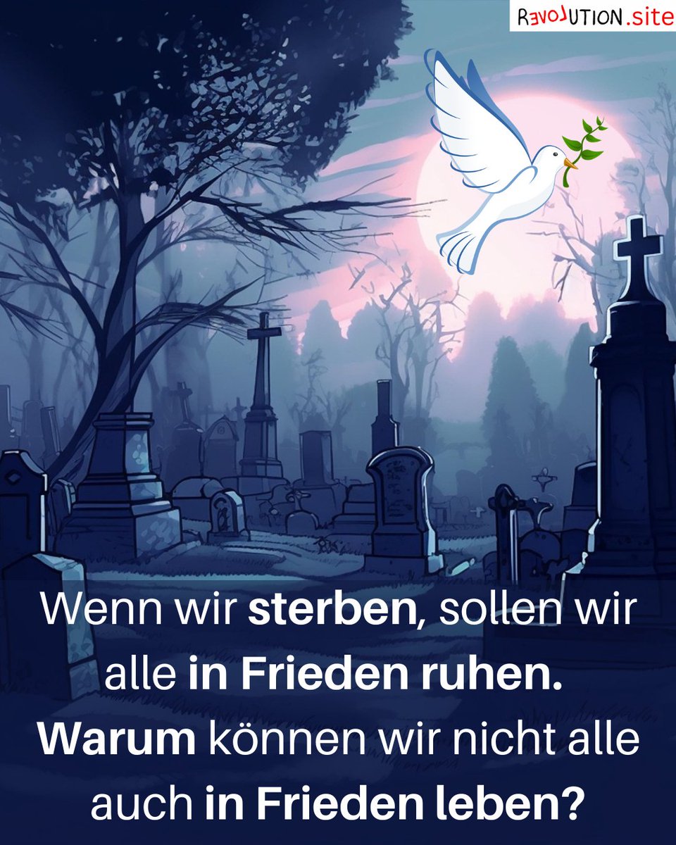 ClausAnton's tweet photo. In einer lauten Welt sollten wir uns bewusst für Frieden entscheiden. 🌿🕊️ Frieden ist eine tägliche Wahl, keine Selbstverständlichkeit. Lasst uns Chaos mit Liebe begegnen und unsere "Schnell-auf-die-Palme"-Reaktionen zähmen! 😅✨ #Frieden #EntscheidungImAlltag #InnereRuhe https://t.co/QvHcN16zbO