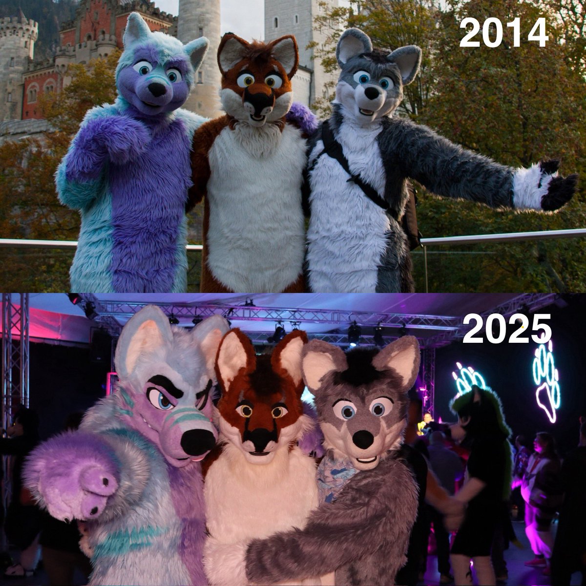 #FursuitFriday  #2dance #schlossneuschwanstein 
<a href="/Keenora/">Keenora Fluffball 🔜 I MOVED TO BLUESKY!</a> <a href="/Arcothewolf/">Arco</a>