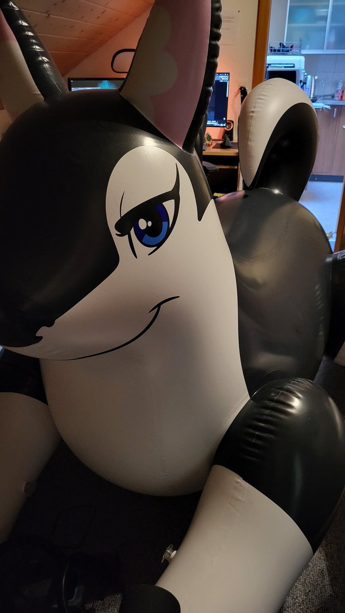 DragonCuddle677's tweet photo. My dragon is again alive! And the much inflated sharpclaw 😄
#inflatable #inflatabledragon #inflatabledog #inflatablehusky #phenodtoys @FactoryCreature https://t.co/yRjShb9rR2