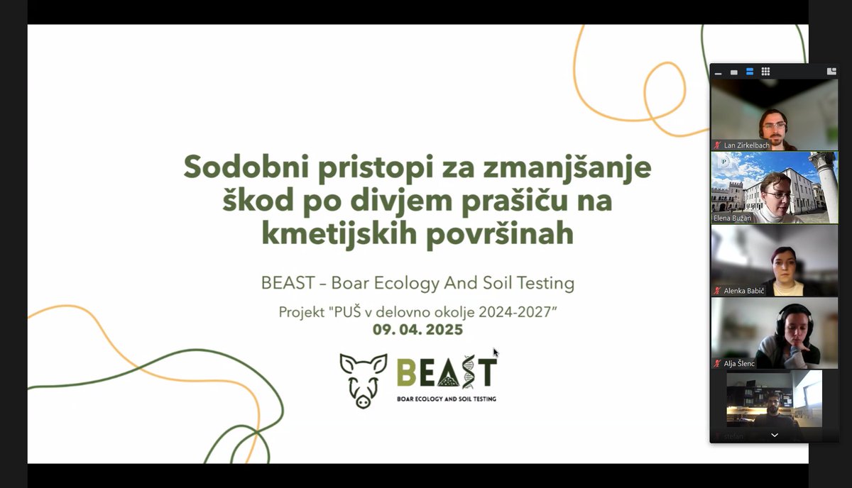 On Wednesday we had the second group meeting for our PUŠ project, where we discussed the work already done until now and set goals for the future 🐗🧬.
<a href="/si_upr/">University of Primorska / Univerza na Primorskem</a>  <a href="/EU_Commission/">European Commission</a> 
#PUS #wildboar #susscrofa #research