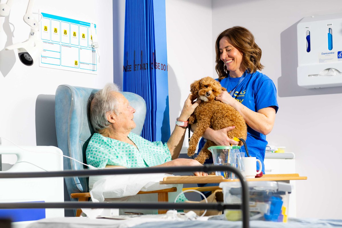 MTWnhs's tweet photo. Today is #NationalPetDay and the perfect excuse to show some love to our @PetsAsTherapyUK dogs (and their wonderful humans!) 🐾

Our fluffiest volunteers are temperament-assessed and specially chosen for their roles in our hospitals, bringing smiles to patients and staff. 💙 https://t.co/nJbvwDMpAm