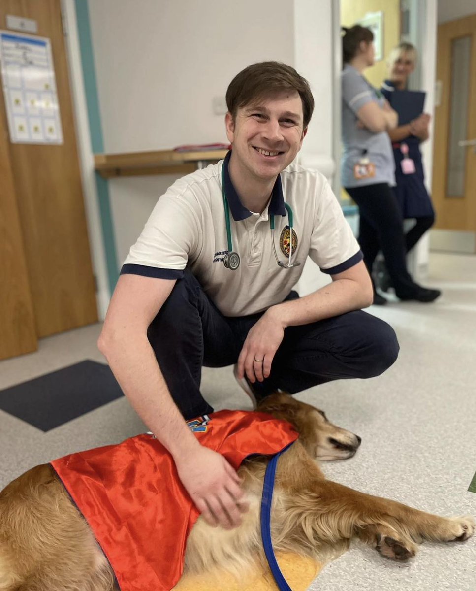 MTWnhs's tweet photo. Today is #NationalPetDay and the perfect excuse to show some love to our @PetsAsTherapyUK dogs (and their wonderful humans!) 🐾

Our fluffiest volunteers are temperament-assessed and specially chosen for their roles in our hospitals, bringing smiles to patients and staff. 💙 https://t.co/nJbvwDMpAm