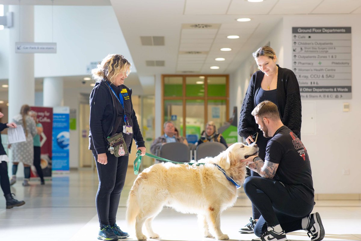 MTWnhs's tweet photo. Today is #NationalPetDay and the perfect excuse to show some love to our @PetsAsTherapyUK dogs (and their wonderful humans!) 🐾

Our fluffiest volunteers are temperament-assessed and specially chosen for their roles in our hospitals, bringing smiles to patients and staff. 💙 https://t.co/nJbvwDMpAm