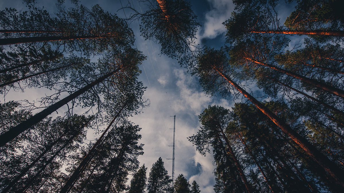 ICOS RI (@icos_ri) on Twitter photo 📣Open positions at ICOS Carbon Portal!
Carbon Portal, located in Lund, Sweden, is looking for an experienced back-end developer & system administrator. Applications for both positions close 23rd April.
Read more: icos-cp.eu/news-and-event… 📣Open positions at ICOS Carbon Portal!
Carbon Portal, located in Lund, Sweden, is looking for an experienced back-end developer & system administrator. Applications for both positions close 23rd April.
Read more: icos-cp.eu/news-and-event…