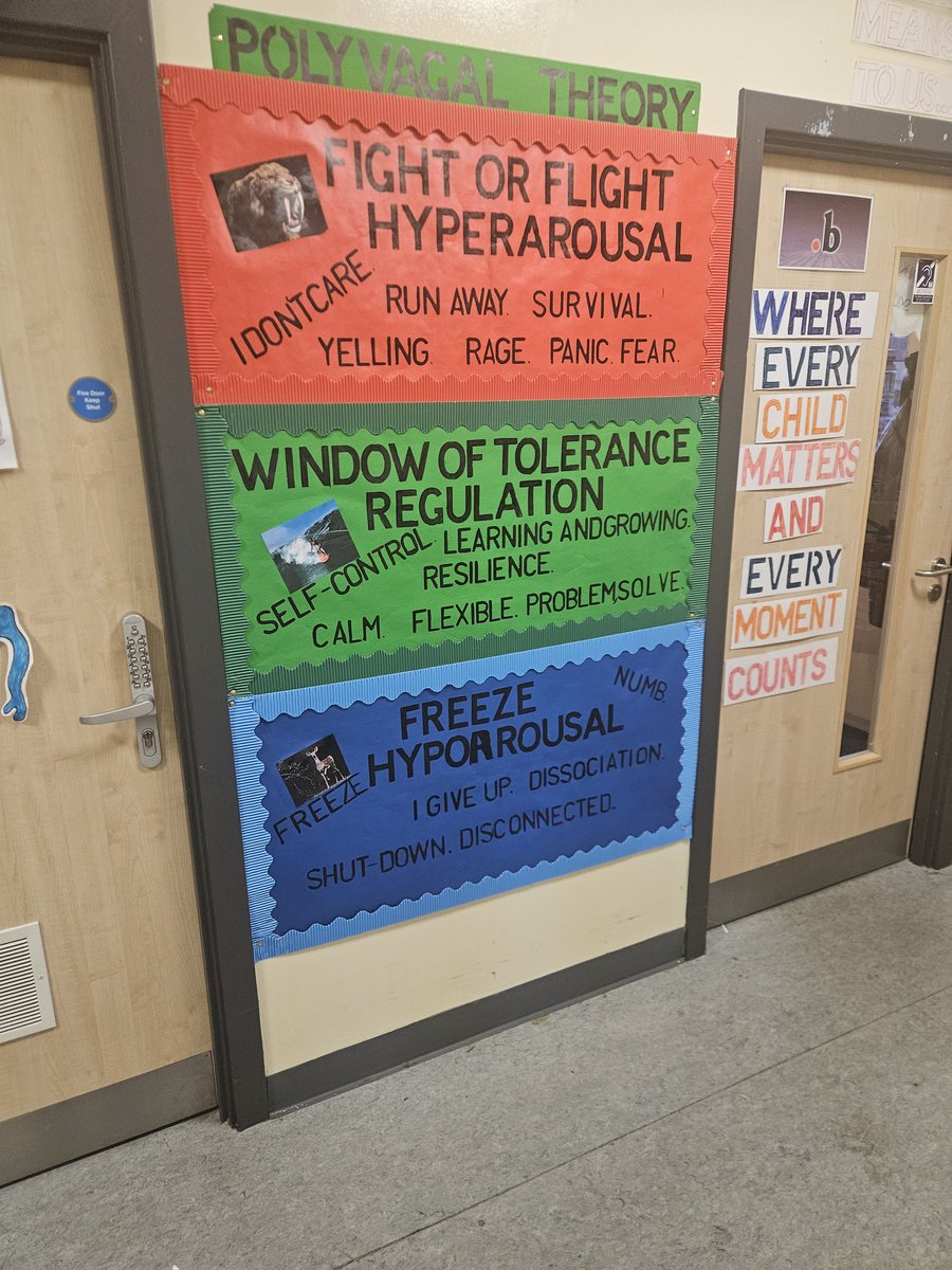 Pupils understanding their window of tolerance is important in doing trauma work or just working with pupils in general.Teaching them how to  understand stress &amp; manage their emotions when moving outside their optimal zone. Then,giving them a toolkit of inner resources.🧠🌱