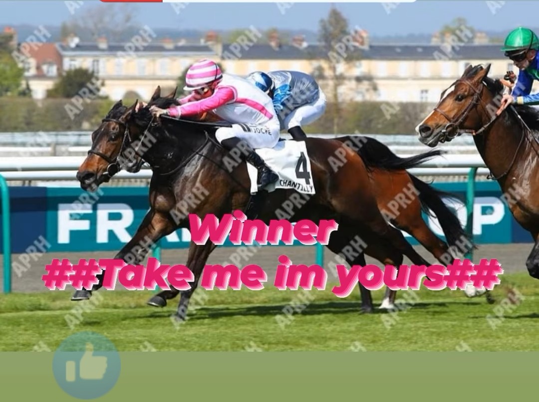 Winner # 3 Years old filly ##Chantilly#
Bought as a yearling by ourself <a href="/DannyCo75831415/">DCBloodstock France</a> at <a href="/InfoArqana/">ARQANA</a> 
Nice French winner for <a href="/OracleRacing1/">@oraclehorseracing</a> , and perfectly ridden by our jock <a href="/piccone_tony/">Piccone Tony</a>