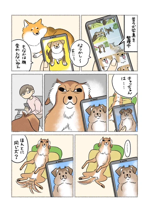 変わらない犬、変わる犬 