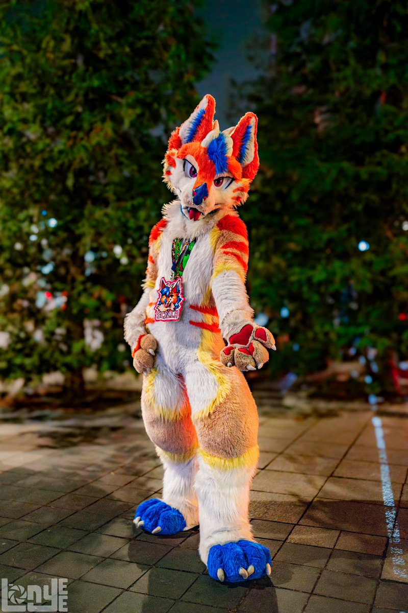 Scylla πΊπ π«π· (@scyllawolfron) on Twitter photo Itβs a late night at the con and it seems we are the last two awake, what do we do?
πΈ <a href="/Lonyee_Wusky/">ππ ππͺππ π¨π¦π€ππͺ</a>
#fursuitfriday #NFC25 Itβs a late night at the con and it seems we are the last two awake, what do we do?
πΈ <a href="/Lonyee_Wusky/">ππ ππͺππ π¨π¦π€ππͺ</a>
#fursuitfriday #NFC25