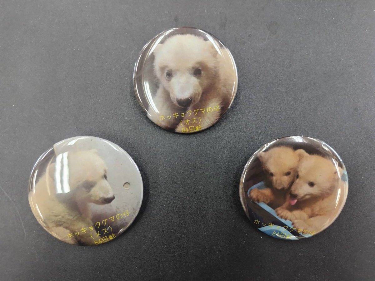 キーパーズコレクション から新商品のおしらせです🐻‍❄️ 明日、4月