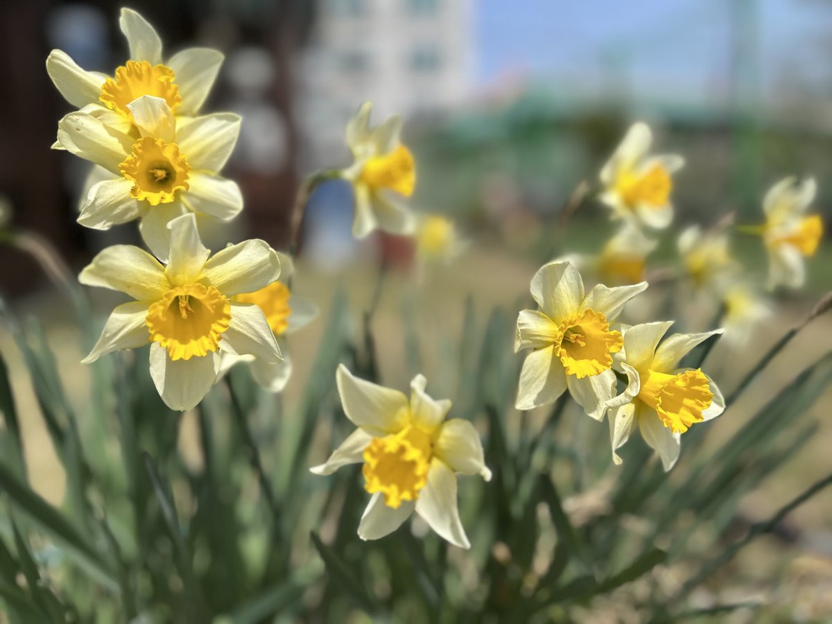 엄마의 정원은
'사랑'이었습니다.

점점 키가 작아지시고
걸음은 느릿해 지시지만

지극한 마음 먹고 자란
꽃밭은 그저 사랑이었습니다.