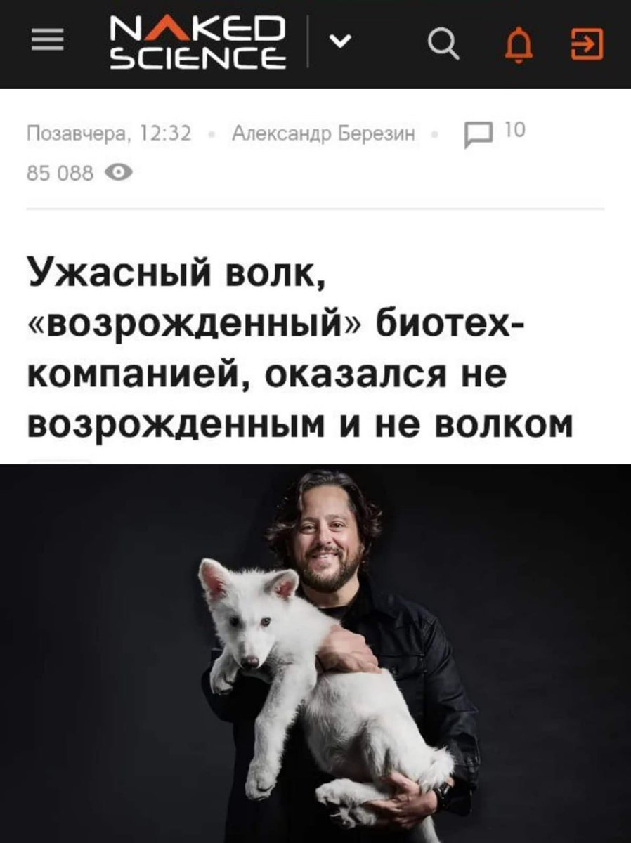 Электрик-уралозавр tweet media