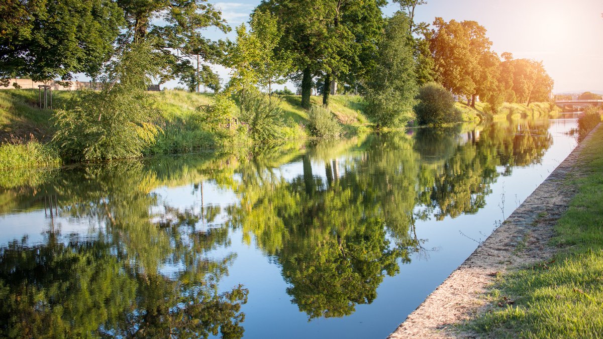 Commune de #Roanne #Loire
🔹Accueil à l’école primaire dans de bonnes conditions
🔹Gouvernance porteuse de risques de conflits d’intérêts et gestion interne présentant des irrégularités
🔹Situation financière satisfaisante
Lire le rapport ici👉ccomptes.fr/fr/publication…