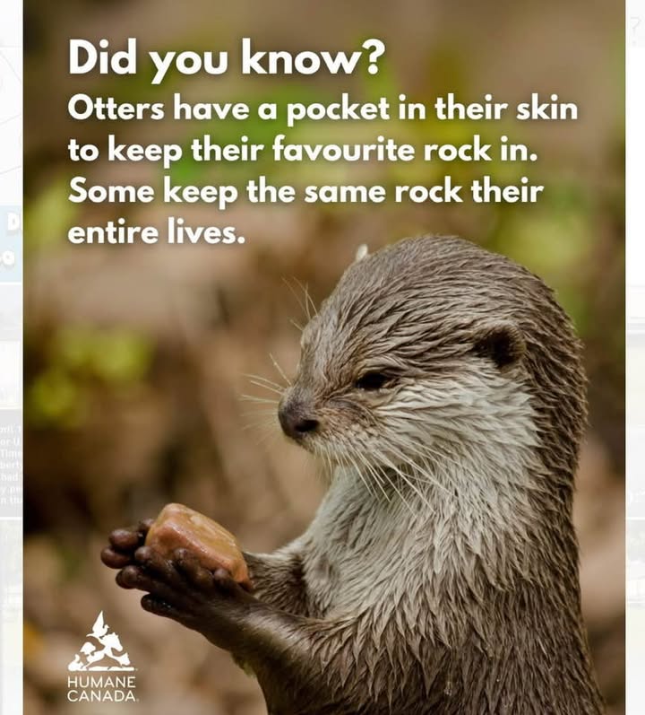 Crystals Online (@crystalsonline) on Twitter photo 