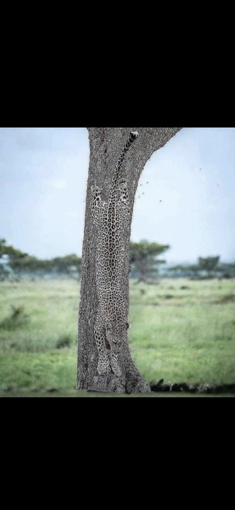 Tell me what you see… let’s see those with sharp eyes