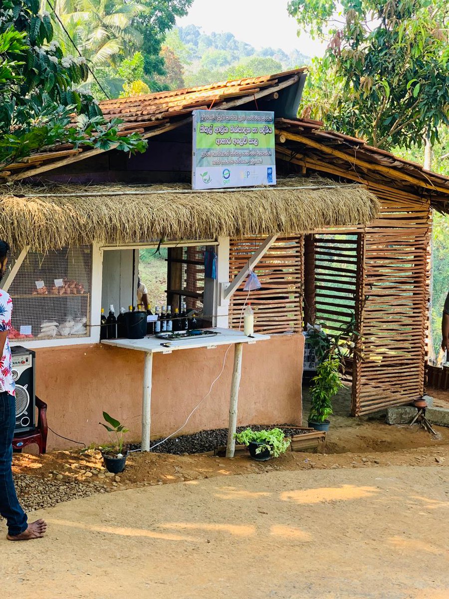 UNDPSriLanka's tweet photo. The village of #Panwila in the Kandy District came alive with the launch of a women-led sales centre for #Kithul and other traditional products in line w/ International Women's Day.
Nestled in the scenic Knuckles landscape, this initiative—powered by the @UNDP @GEF_SGP Operational Phase 7 #community grant, and led by the Udugoda Grama Sanwardena Kantha Maha Sangamaya—is a shining example of how rural #women are creating pathways to #economic independence and environmental stewardship.
From treetops to tabletops, these women are adding value to forest-friendly #livelihoods while preserving Sri Lanka’s rich agro-biodiversity.
@UNDPasiapac @theGEF @AzusaKubota @UNDPClimate @UNSriLanka